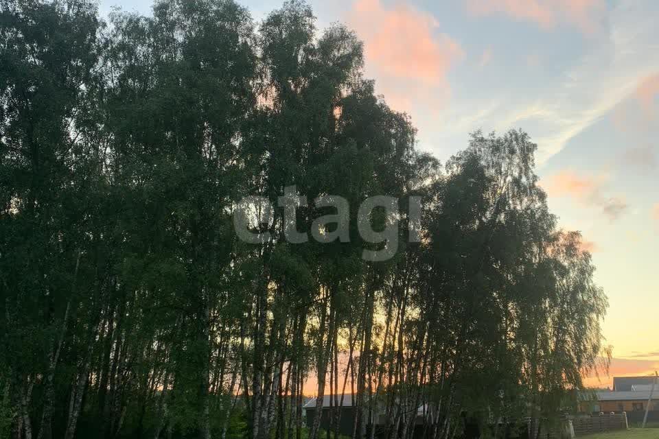 земля г Домодедово д Минаево Южный парк, Домодедово городской округ фото 2