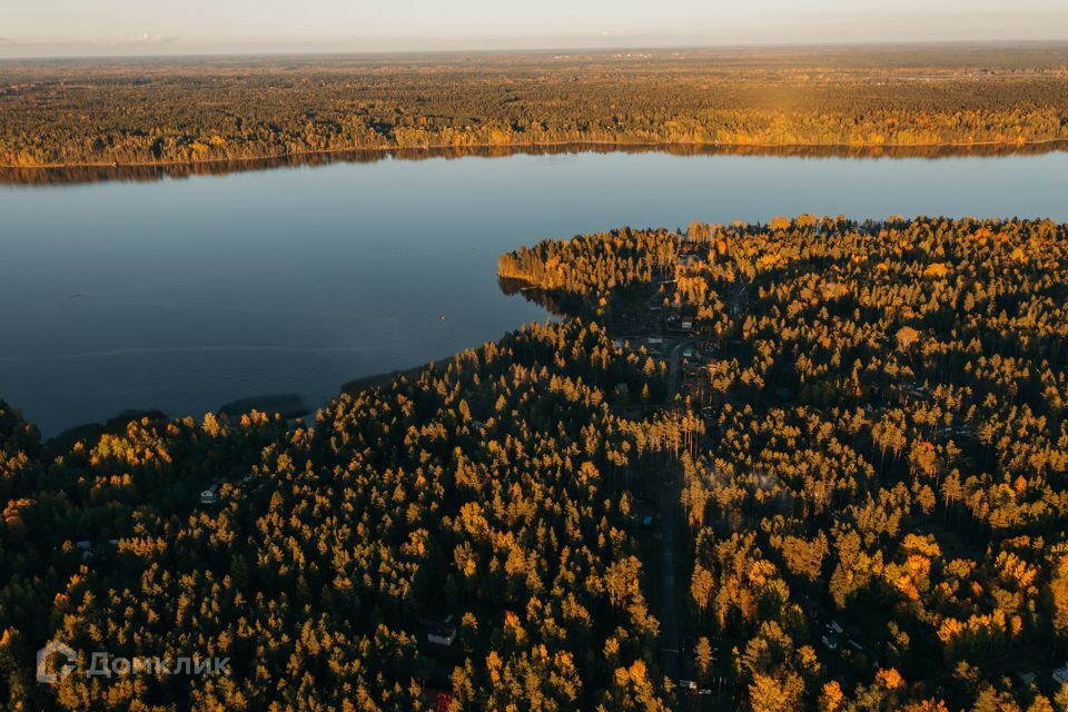 земля р-н Выборгский фото 3