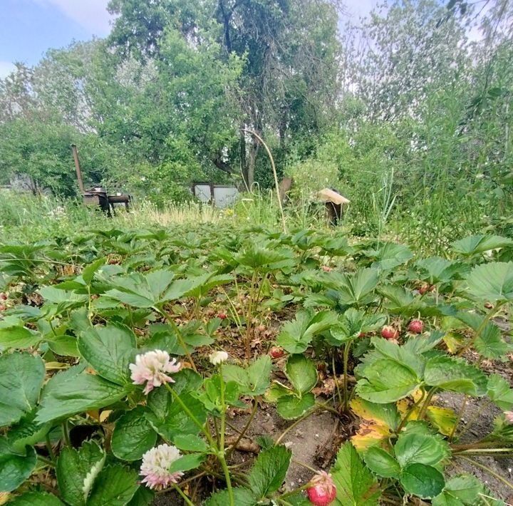 дом р-н Новгородский рп Панковка Панковское городское поселение фото 8