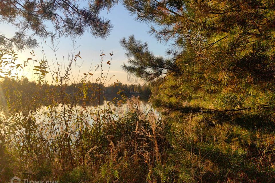 земля городской округ Богородский фото 9