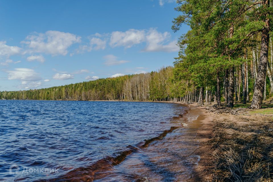 земля р-н Выборгский фото 6