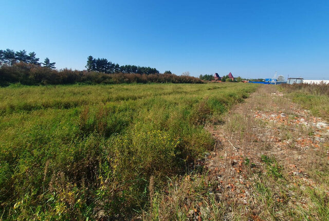 земля снт Загорново Ипподром, Раменский городской округ фото