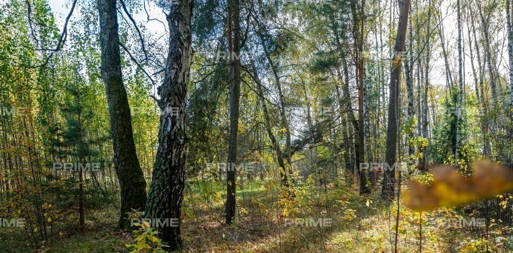 земля городской округ Одинцовский д Раздоры ДСК, Крылатское, Буран фото 1