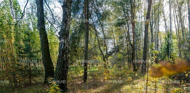 ДСК, Крылатское, Буран фото