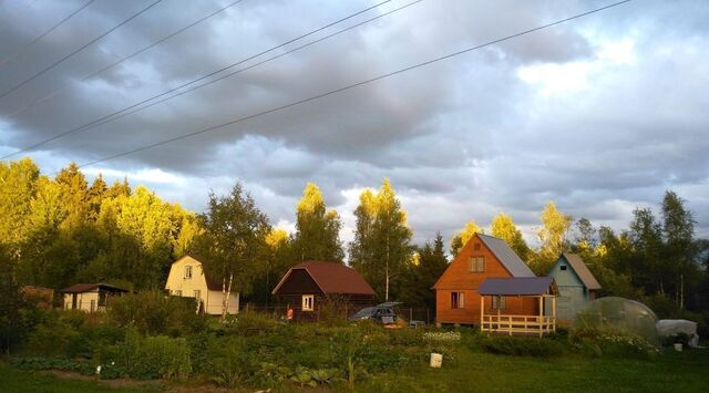 личное подсобное хозяйство, Сергиево-Посадский городской округ, Нива фото