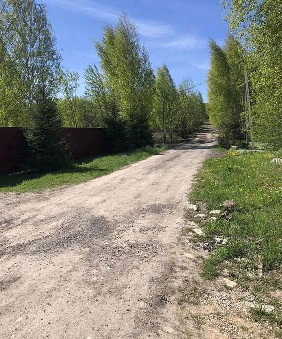 земля городской округ Клин д Давыдково фото 4