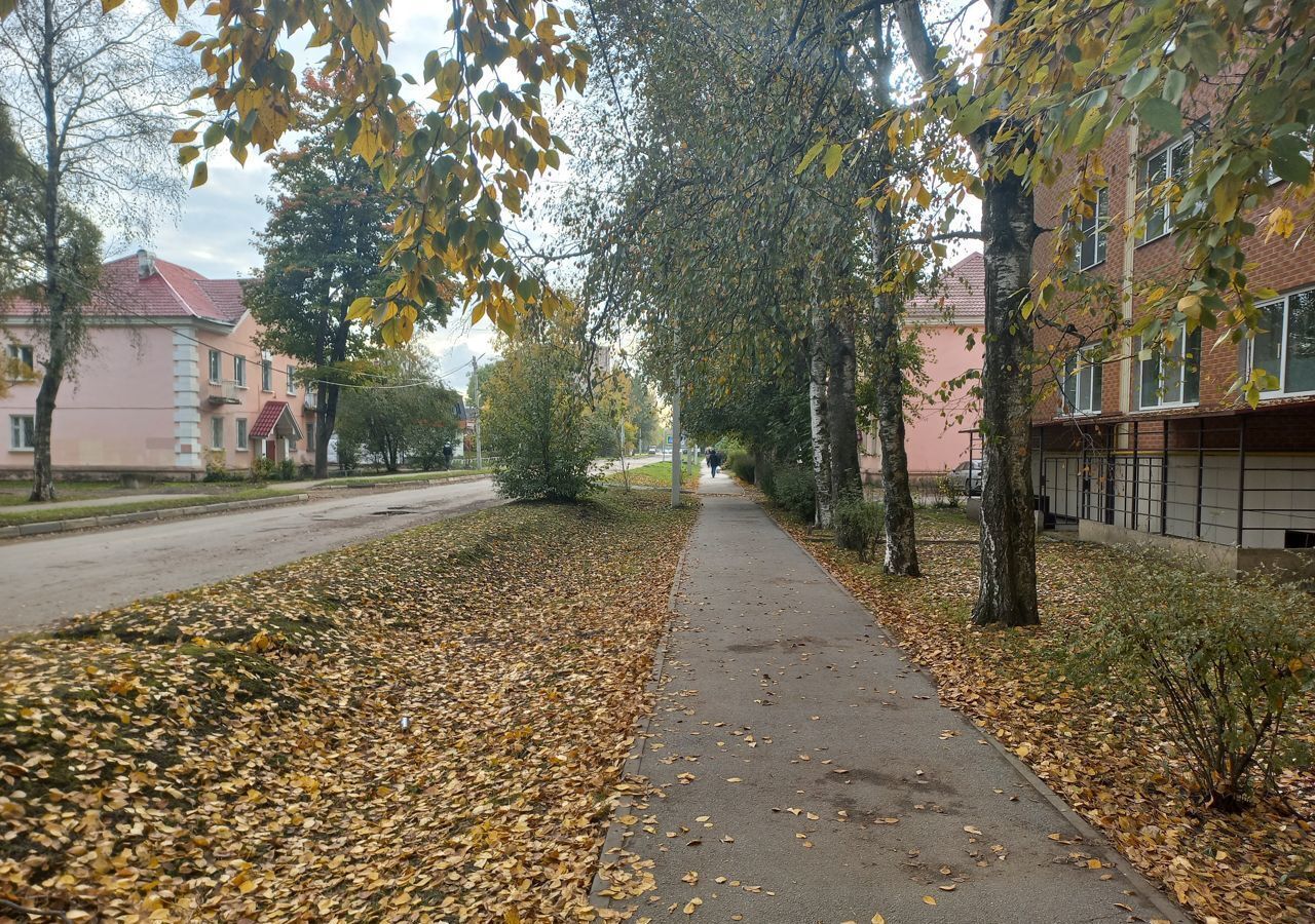 свободного назначения р-н Кировский г Отрадное ул Ленина 5 Отрадненское городское поселение фото 3