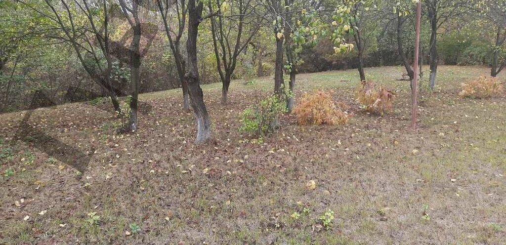 земля р-н Белгородский с Петропавловка Беломестненское сельское поселение фото 7