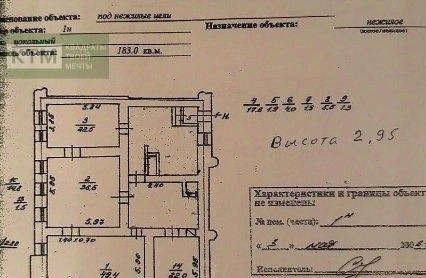 свободного назначения г Санкт-Петербург метро Садовая пр-кт Римского-Корсакова 21 фото 19