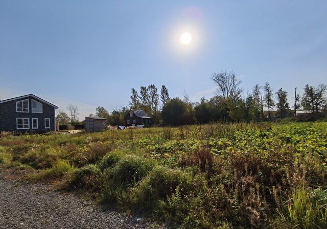 городской округ Чехов 9779 км, НП Угодья у леса, Симферопольское шоссе фото