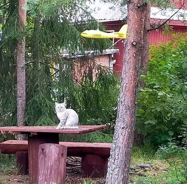 дом р-н Тосненский п Рябово Рябовское городское поселение, Путеец СНТ, 3-я линия, 26 фото 16