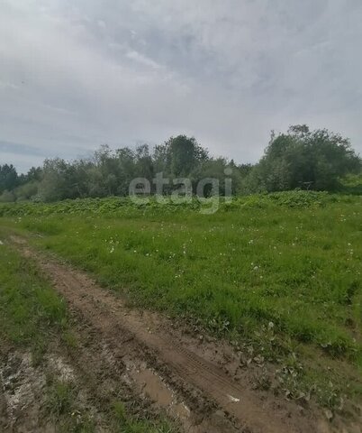 муниципальное образование Выльгорт фото