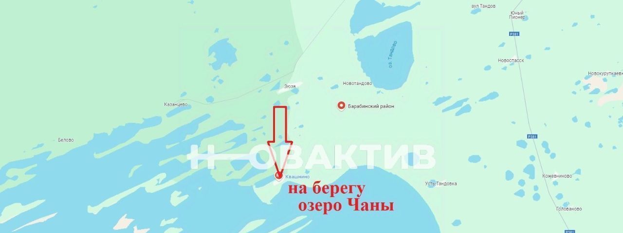 свободного назначения р-н Барабинский д Квашнино ул Рыбозаводская 16 фото 5