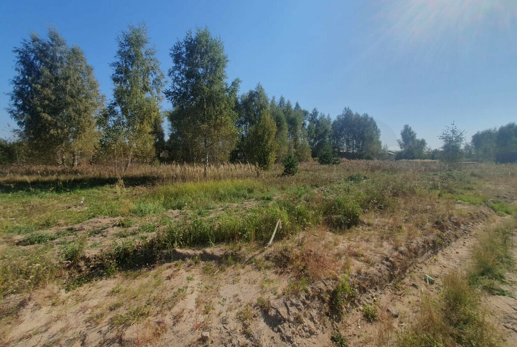 земля городской округ Раменский д Дергаево Раменское фото 2