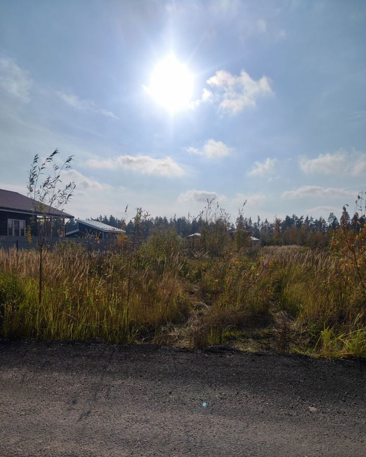 земля городской округ Богородский г Электроугли мкр Светлый ул Богородская 9746 км, Носовихинское шоссе фото 1