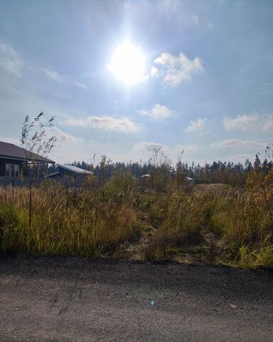 мкр Светлый ул Богородская 9746 км, Носовихинское шоссе фото