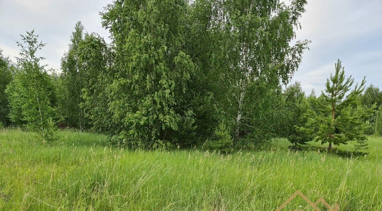 земля р-н Верхнеуслонский Введенско-Слободское с/пос, Агат садовое товарищество фото 5