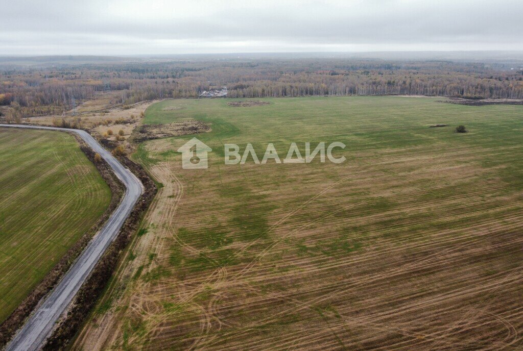 земля р-н Собинский с Ворша фото 1