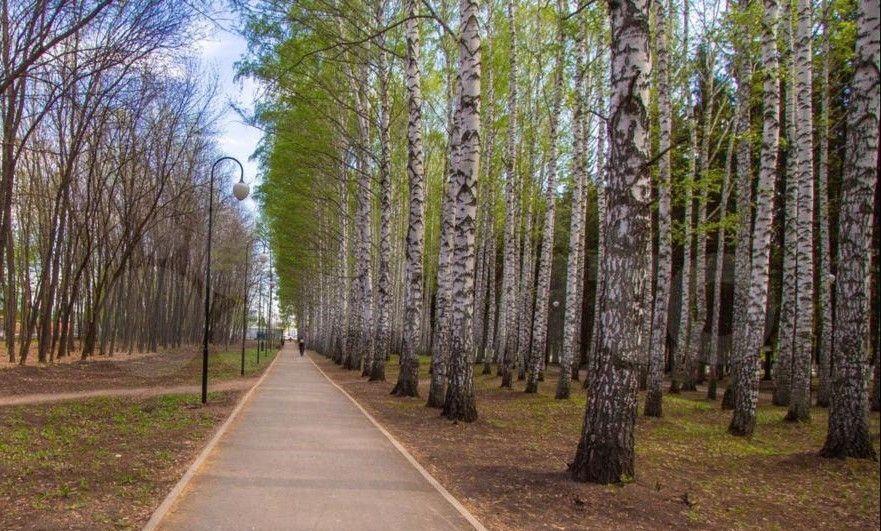 квартира г Уфа ул. Новоуфимская, д. 13 фото 5