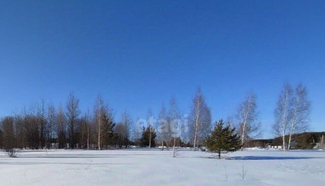 р-н Советский Проспект Победы, СНТ, 86, Дорожник фото