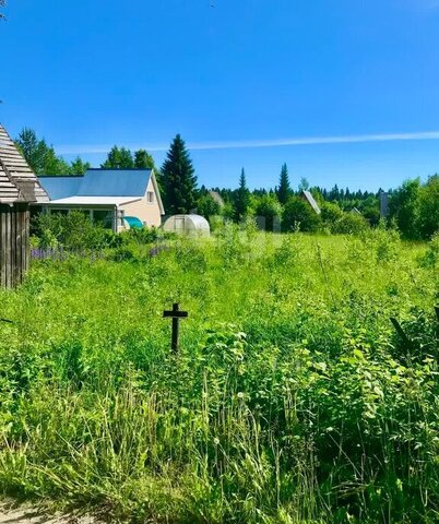 земля Эжвинский СНТ Ромашка фото