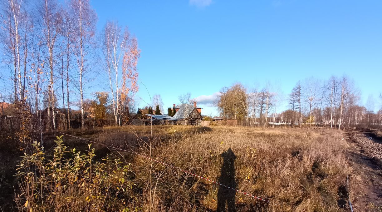 земля городской округ Богородский д Калитино ул Луговая фото 2