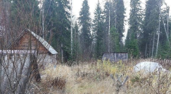 дом р-н Сыктывдинский с Выльгорт снт терМалая Соколовка муниципальное образование фото 2