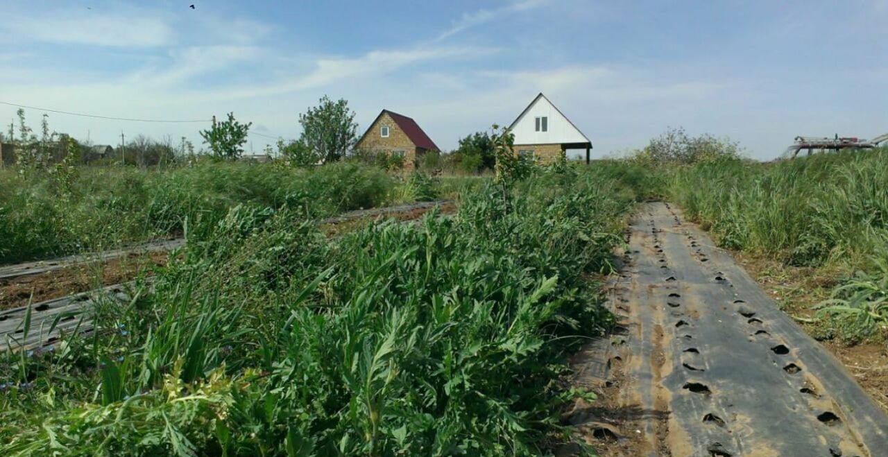 земля р-н Сакский с Жаворонки Ореховское сельское поселение, СНТ Восход, Грушёвая ул фото 1