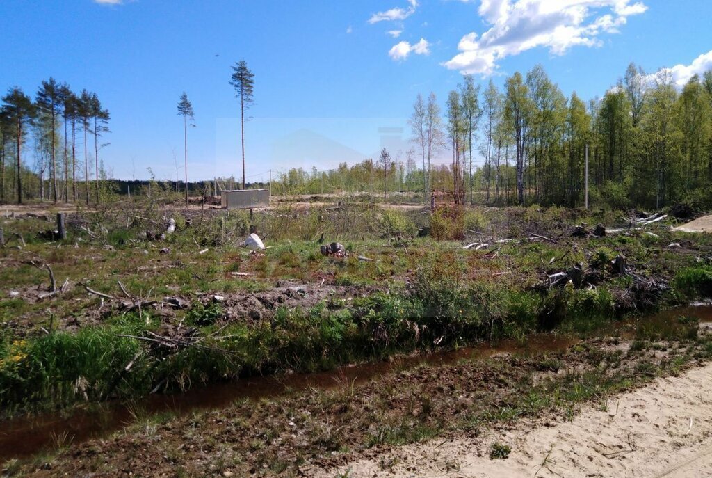 земля р-н Всеволожский снт Защита Токсовское городское поселение фото 1