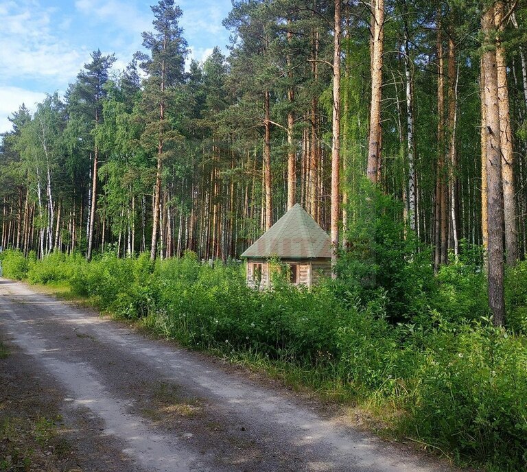 земля р-н Всеволожский д Новосаратовка Пролетарская, Свердловское городское поселение фото 1