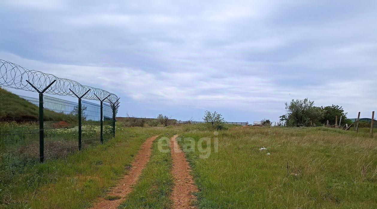 земля р-н Сакский с Фрунзе фото 7