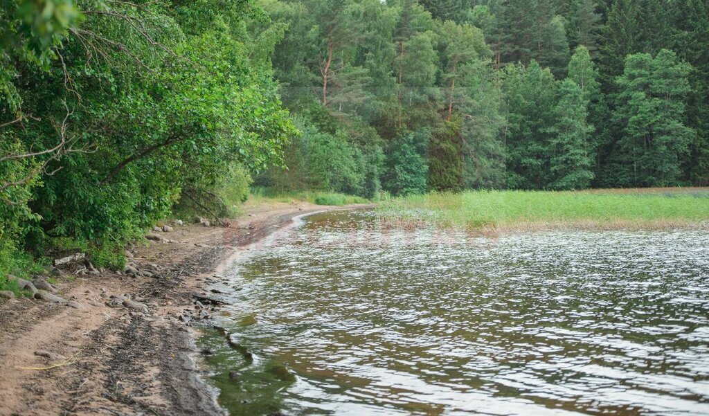 земля р-н Выборгский п Мамонтовка Приморское городское поселение фото 11