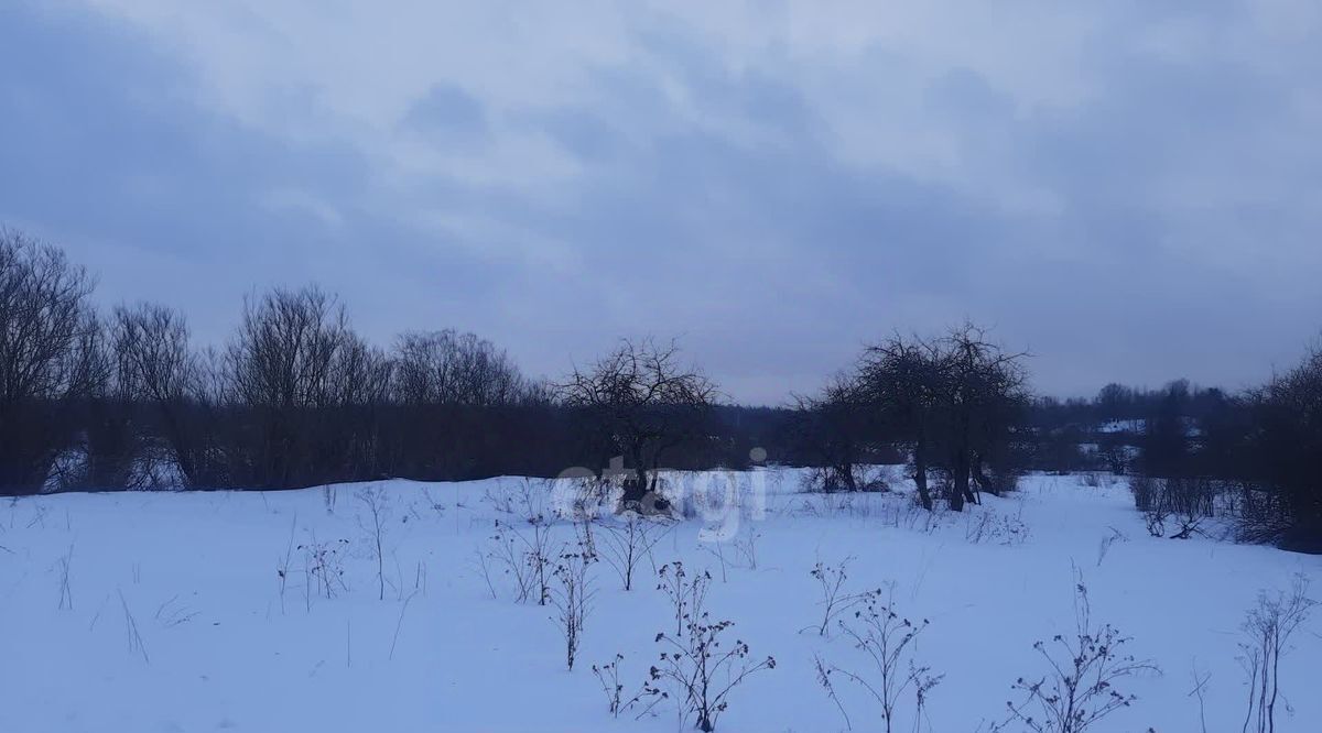 земля р-н Островский д Городище ул Советская Островская волость фото 10