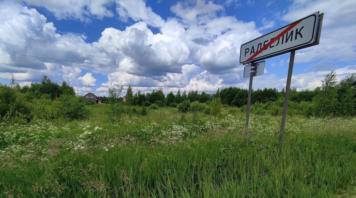 земля р-н Новгородский д Радбелик фото 7