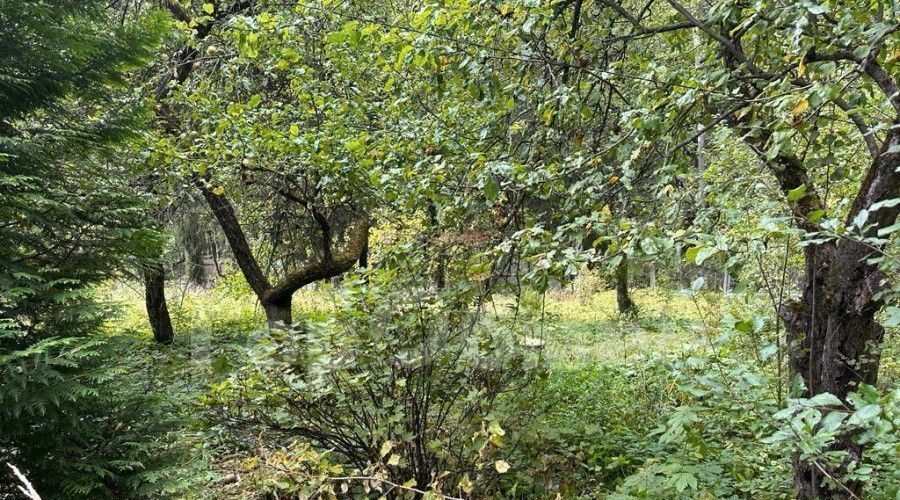 земля городской округ Одинцовский д Ляхово снт Заря Парк Победы, ул. Лесная фото 21