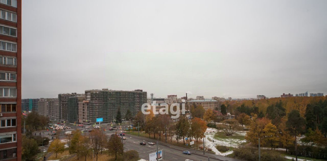 квартира г Санкт-Петербург метро Политехническая пр-кт Светлановский 43 фото 30