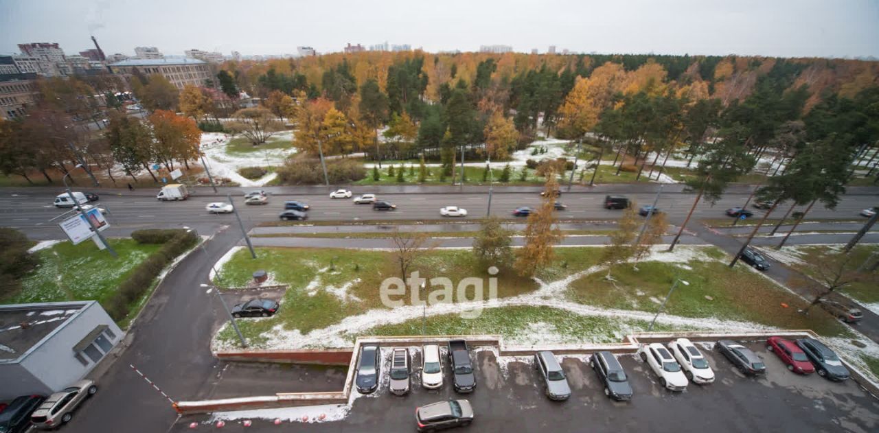 квартира г Санкт-Петербург метро Политехническая пр-кт Светлановский 43 фото 33