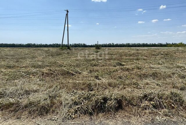 земля сад Донподход ул 2-я фото