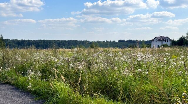 513, Дмитровский городской округ, Медведки кп фото