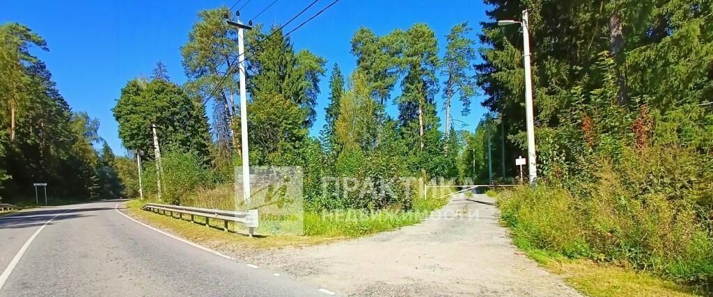 земля городской округ Одинцовский п Караллово фото 3