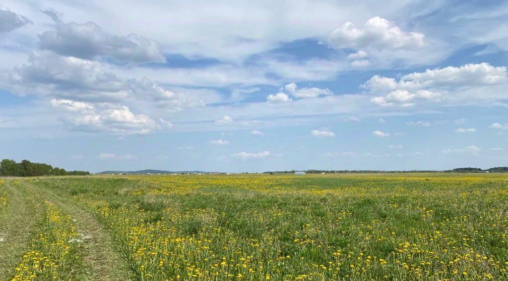 земля р-н Ломоносовский Виллозское городское поселение, Можайский Парк кп, Балтийская фото 13