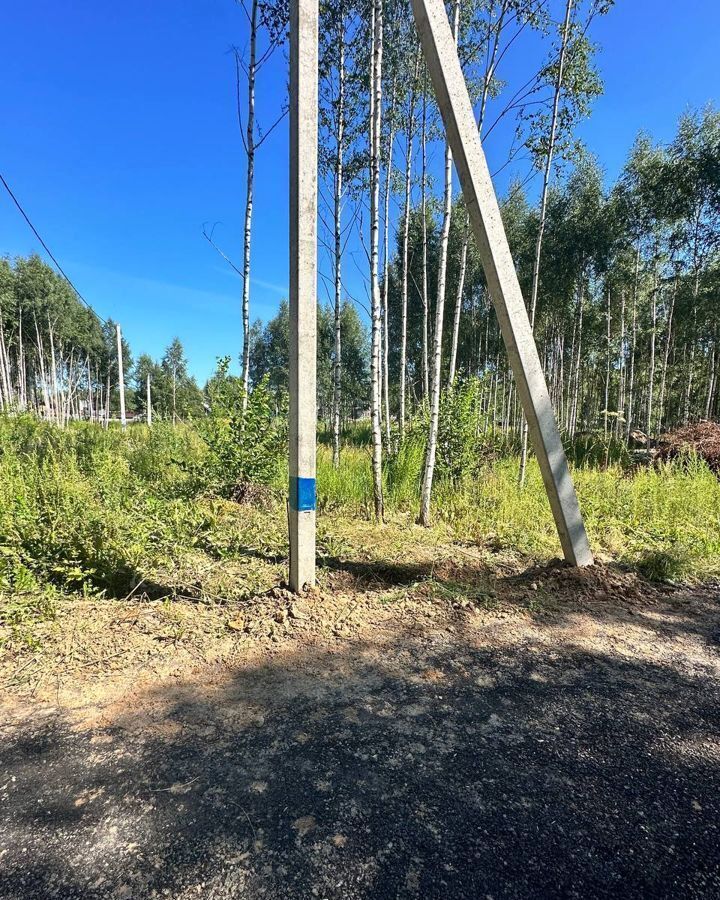 земля городской округ Дмитровский д Микишкино 9771 км, Дмитров, Дмитровское шоссе фото 13