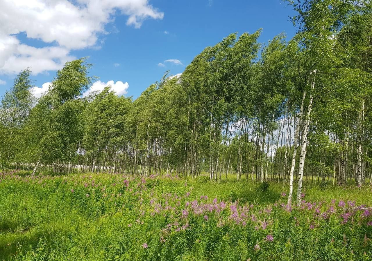 земля городской округ Дмитровский д Микишкино 9771 км, Дмитров, Дмитровское шоссе фото 29