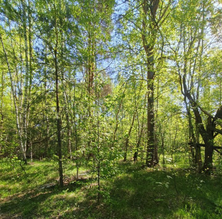 земля р-н Калязинский с/п Старобисловское д Курилово фото 1