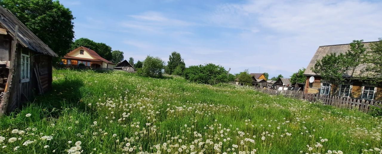 дом р-н Куньинский д Жижица ул Садовая Кунья фото 4