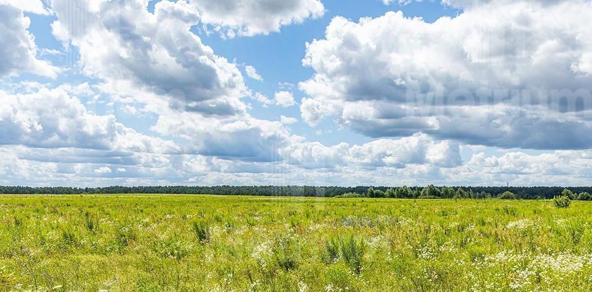 земля городской округ Можайский Лесные Просторы кп, 158 фото 4