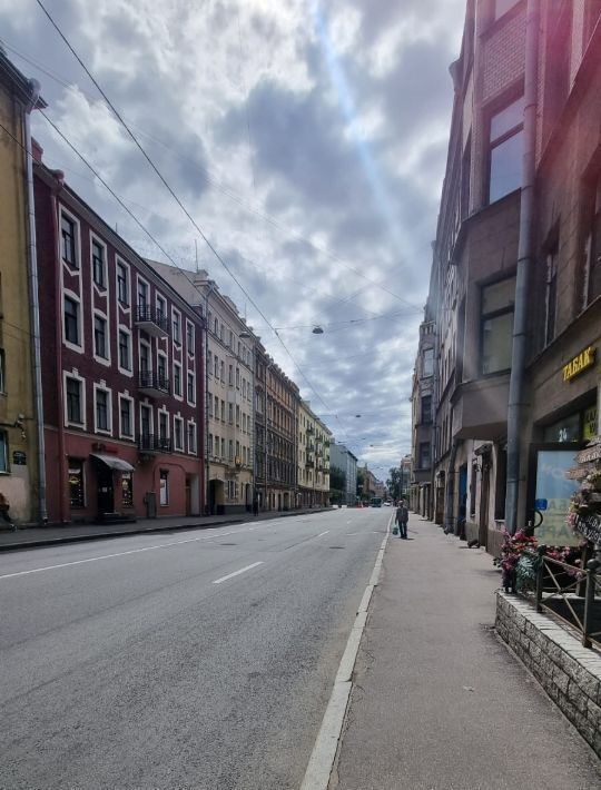 квартира г Санкт-Петербург метро Петроградская ул Большая Пушкарская 38 фото 3