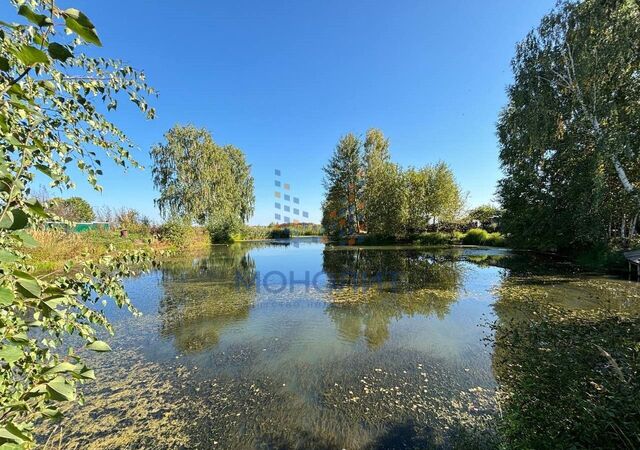 ул Малый Яшнур Пекшиксолинское сельское поселение, Краснооктябрьский фото