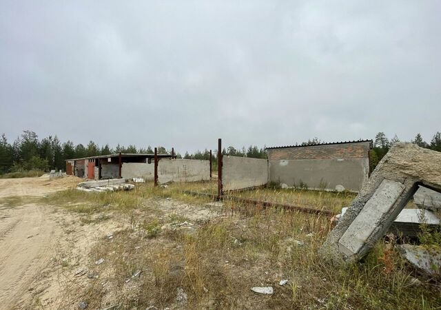 Сургутский р-н, Тюменская обл. фото