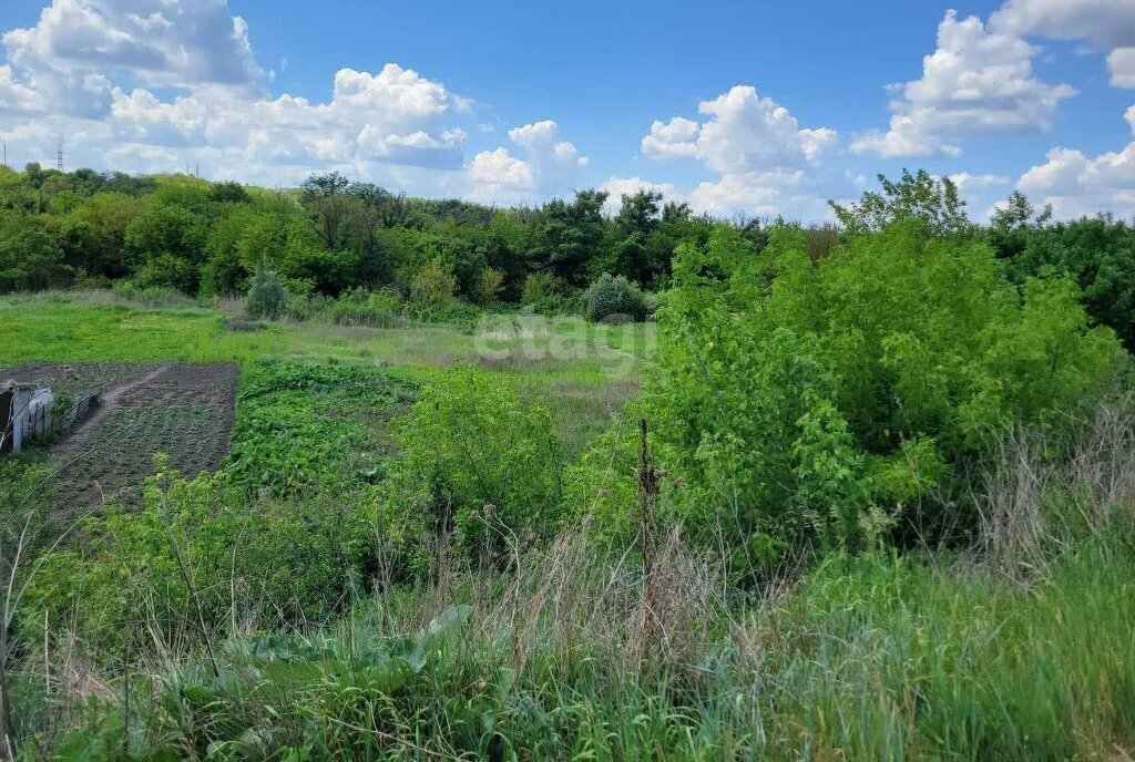 земля р-н Белгородский с Стрелецкое ул Краснооктябрьская фото 3